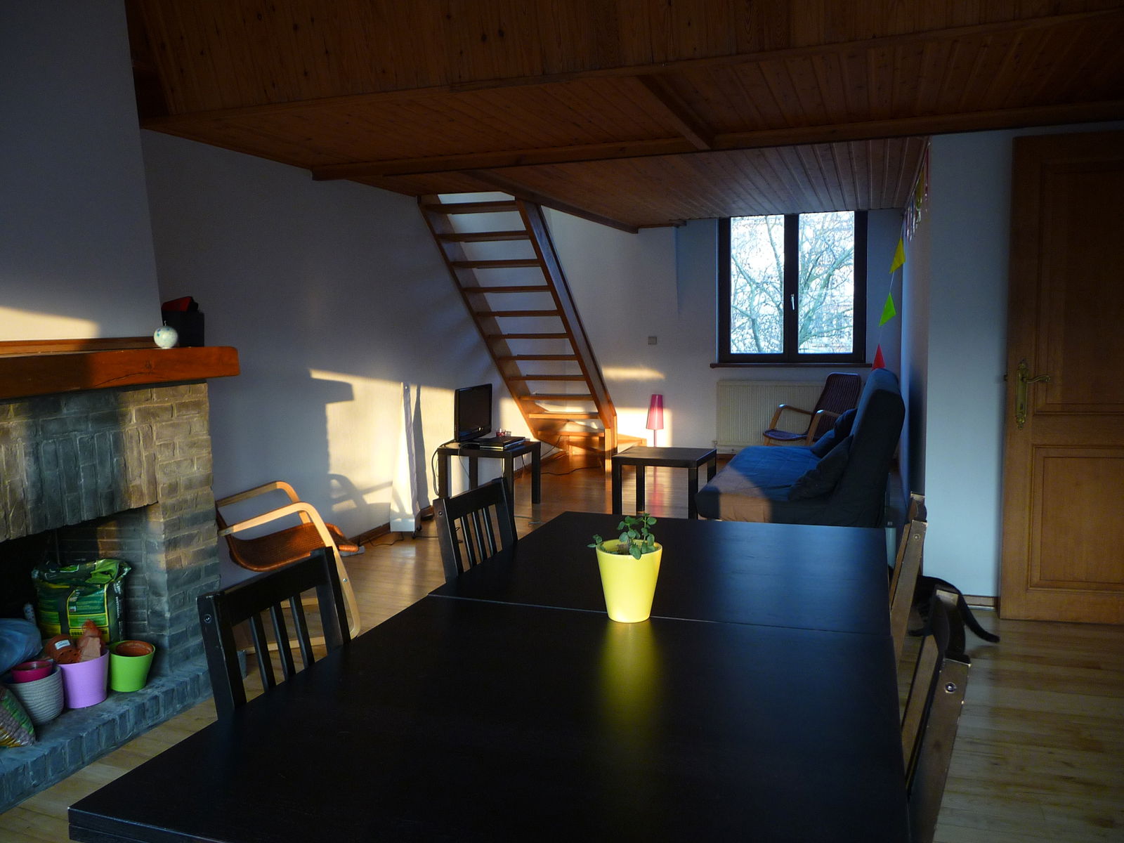 Kolokasie Schaerbeek 69733