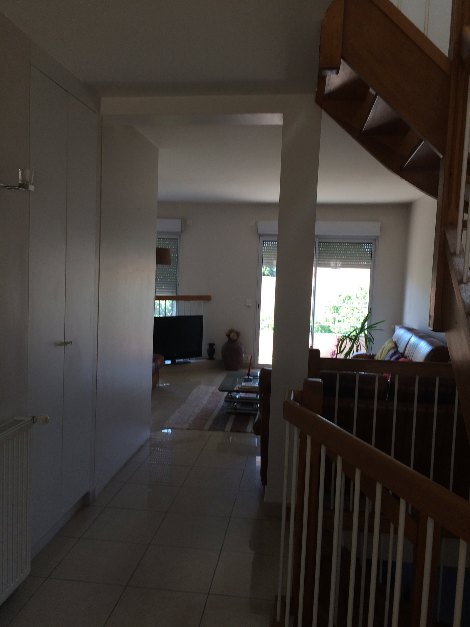 Kolokasie Clamart 484980