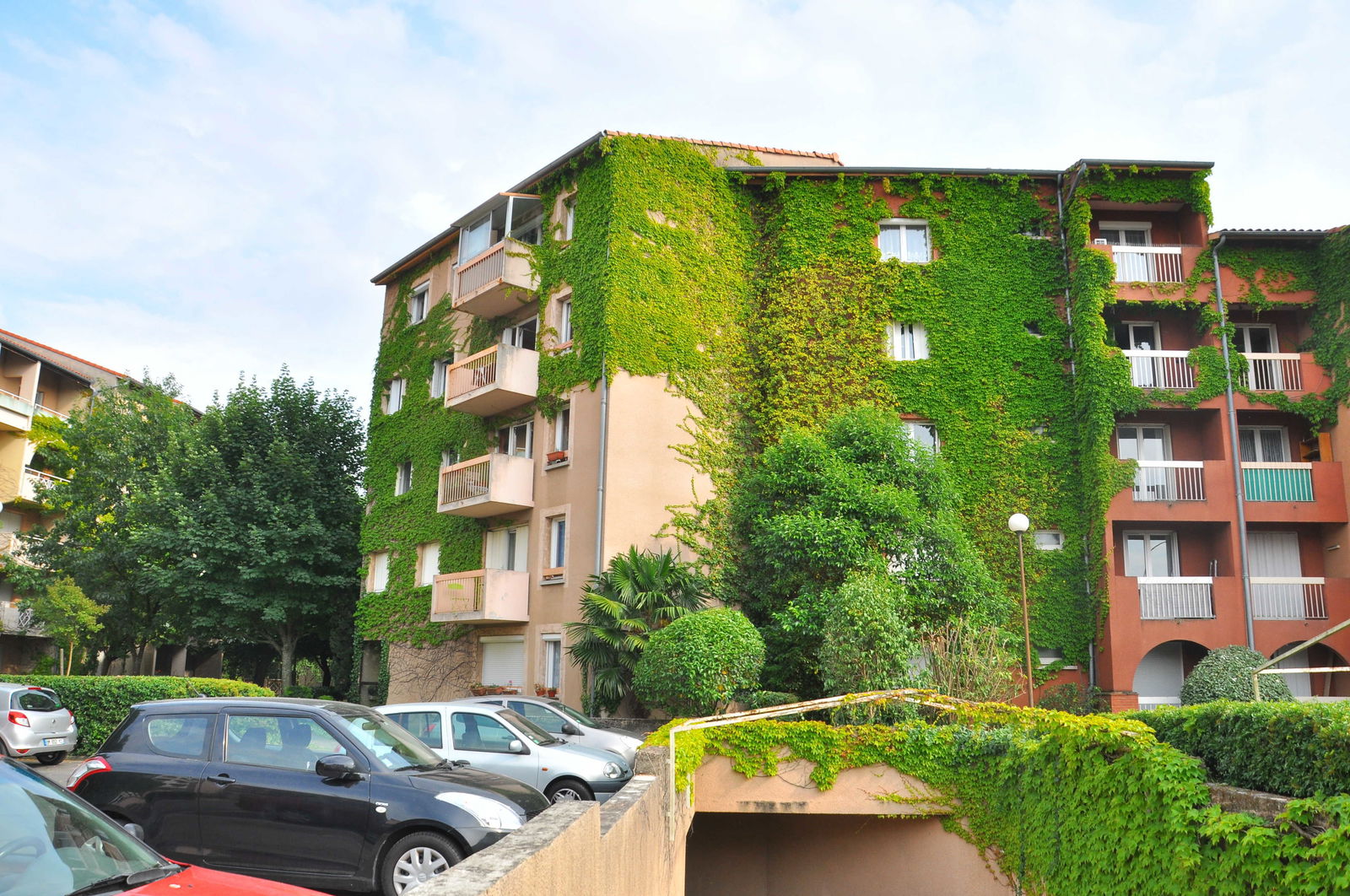 Kolokasie Toulouse 124327