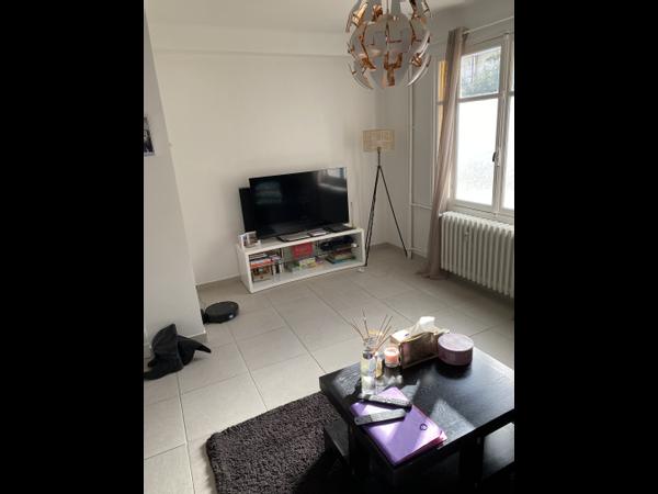 Kolokasie Nice 656663