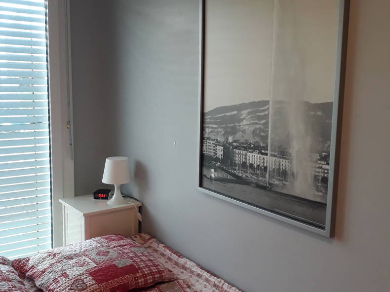 Homestay Plan-les-Ouates 231923-4