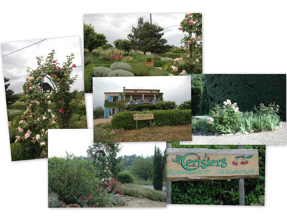 Bed And Breakfast Bedoin 18309-3