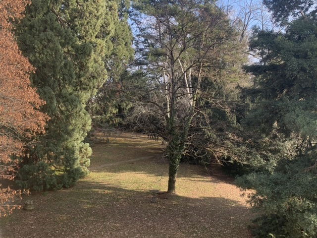 Logement Entier Corcelles-Cormondrèche 244858