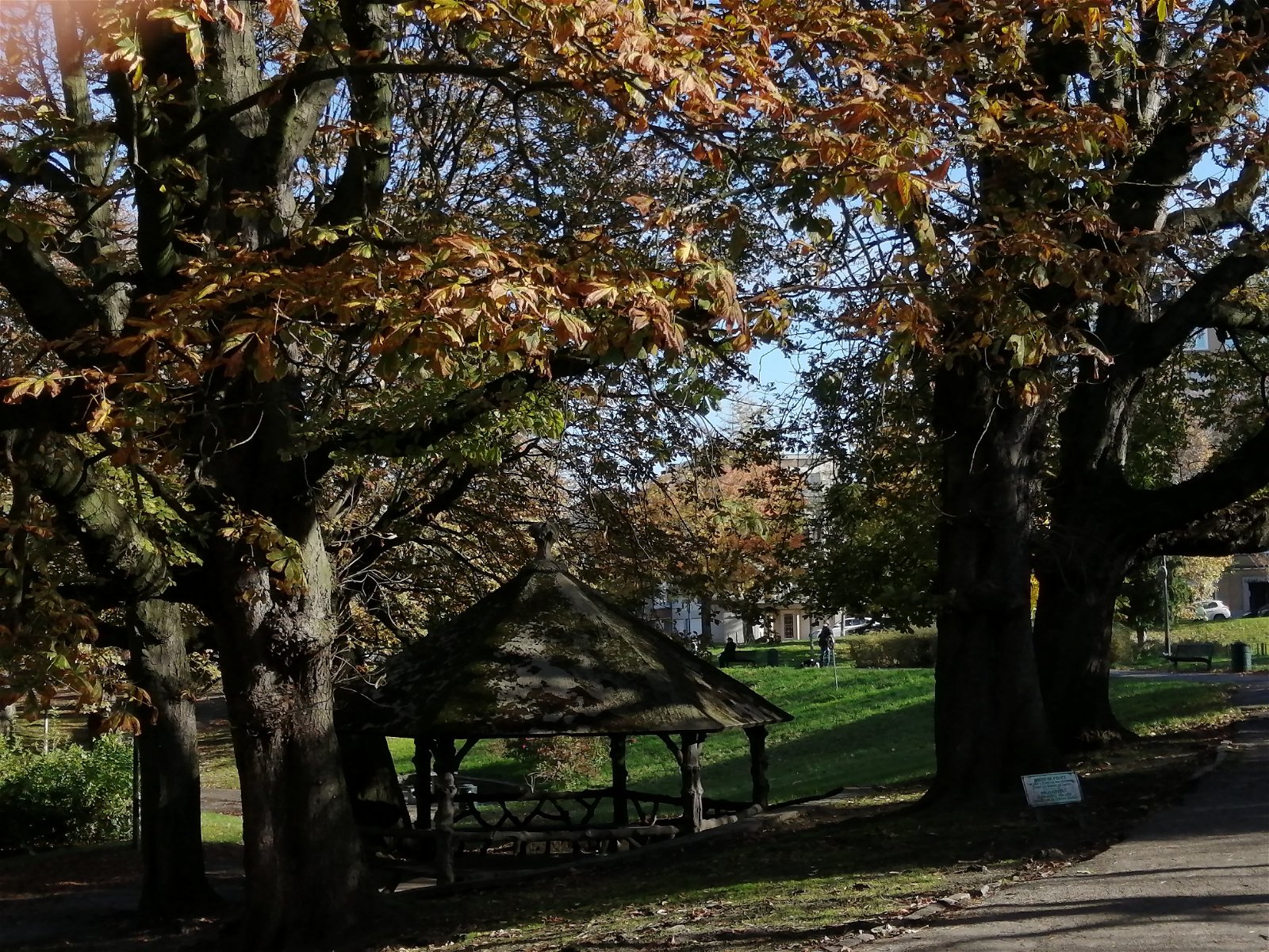 Colocation Schaerbeek 212067