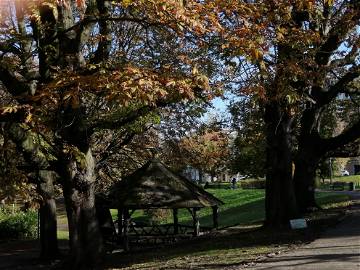 Colocation Schaerbeek 212067-8