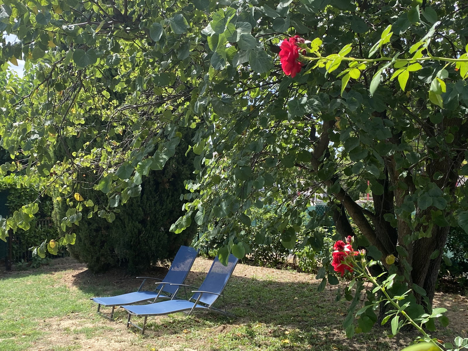 Logement Entier Pailhes 241334