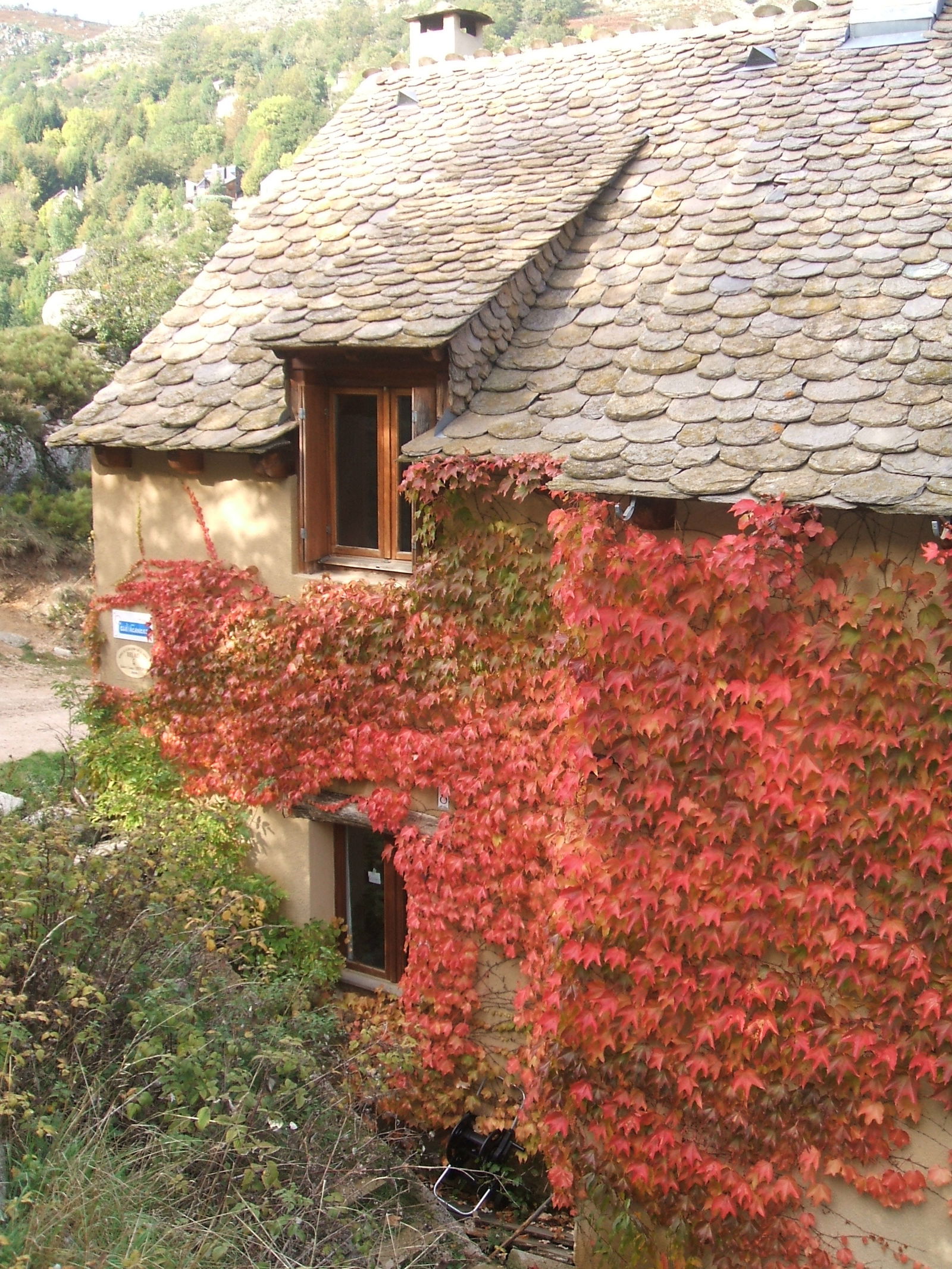 Oberoende Studio Le Pont-de-Montvert 193987