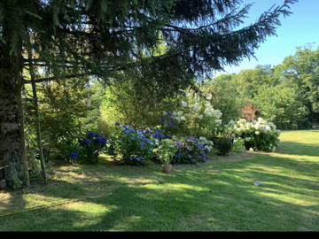 Bed And Breakfast Orgnac-Sur-Vézère 664798-4