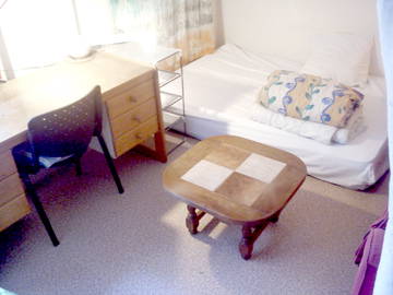 Homestay for rent in Lyon - photo 4 : Bedroom-4
