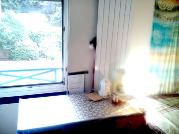 Homestay for rent in Lyon - photo 2 : Bedroom-2