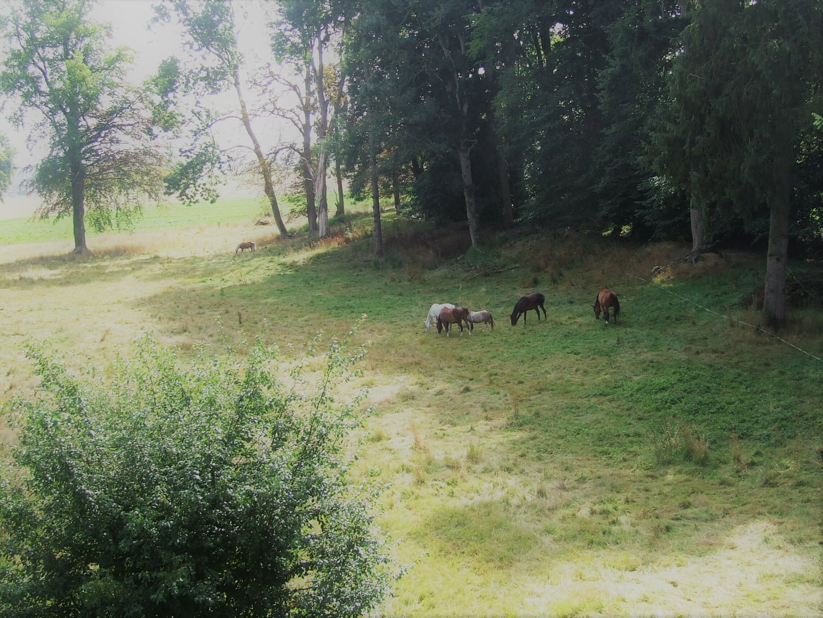 Hele Huis Beauquesne 239339