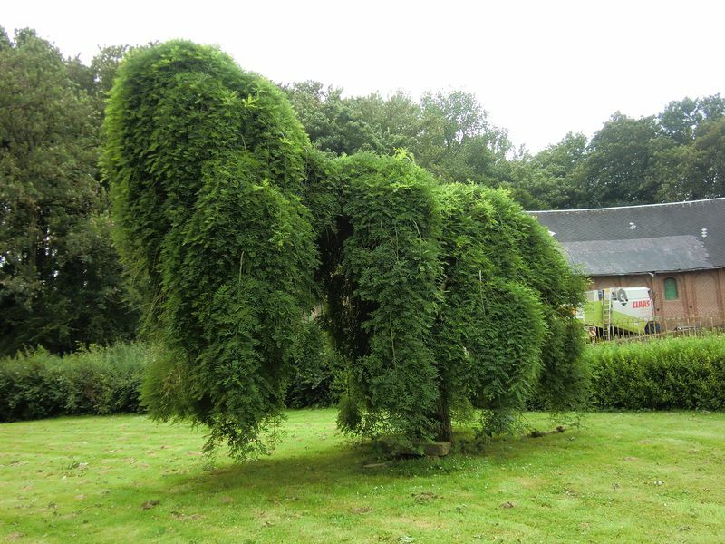 Hele Huis Beauquesne 239339