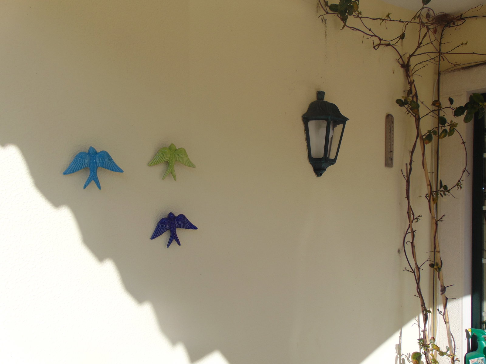 Toda La Casa Ribamar 254493