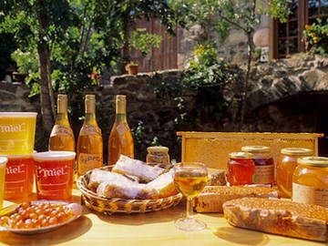 Chambre D'hôte Beaulieu 65095-4