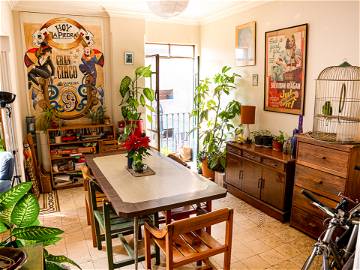 Colocation Centro 268591-4