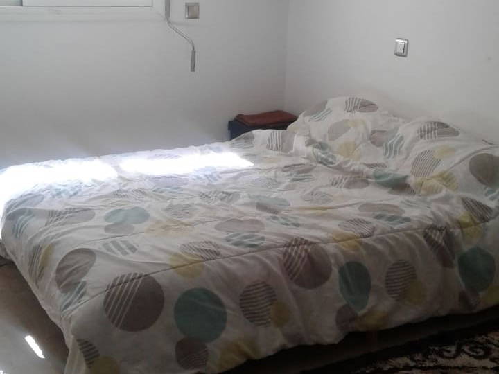 Toda La Casa Tamesna 219217-1