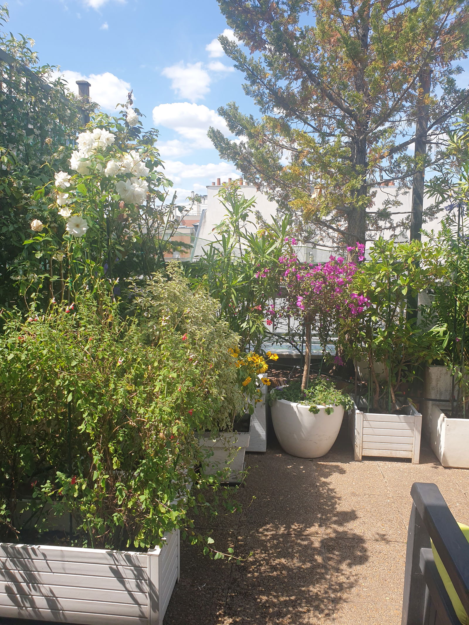 Gastgezin Paris 253403