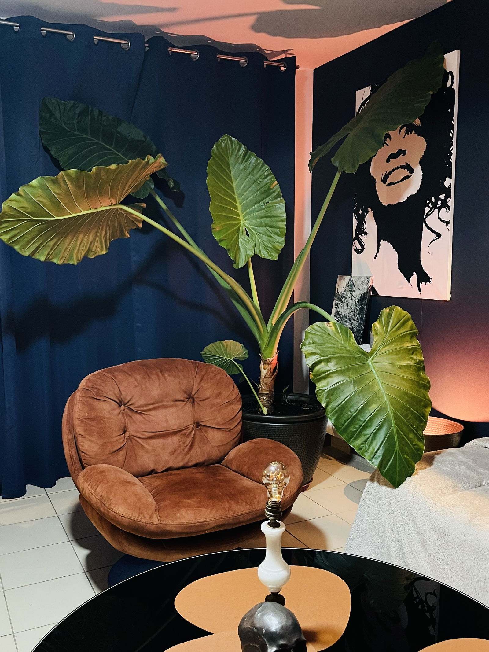 Gastgezin Villeneuve-lès-Avignon 508578