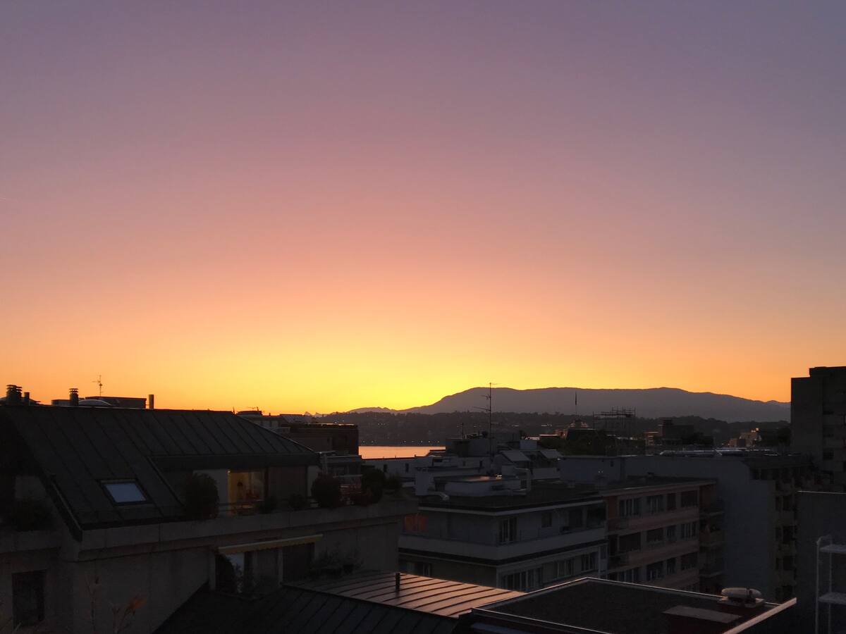 Gehele Woning Genève 661849