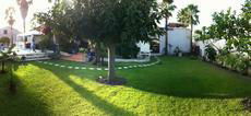 Estudio Independiente Borgo 166391