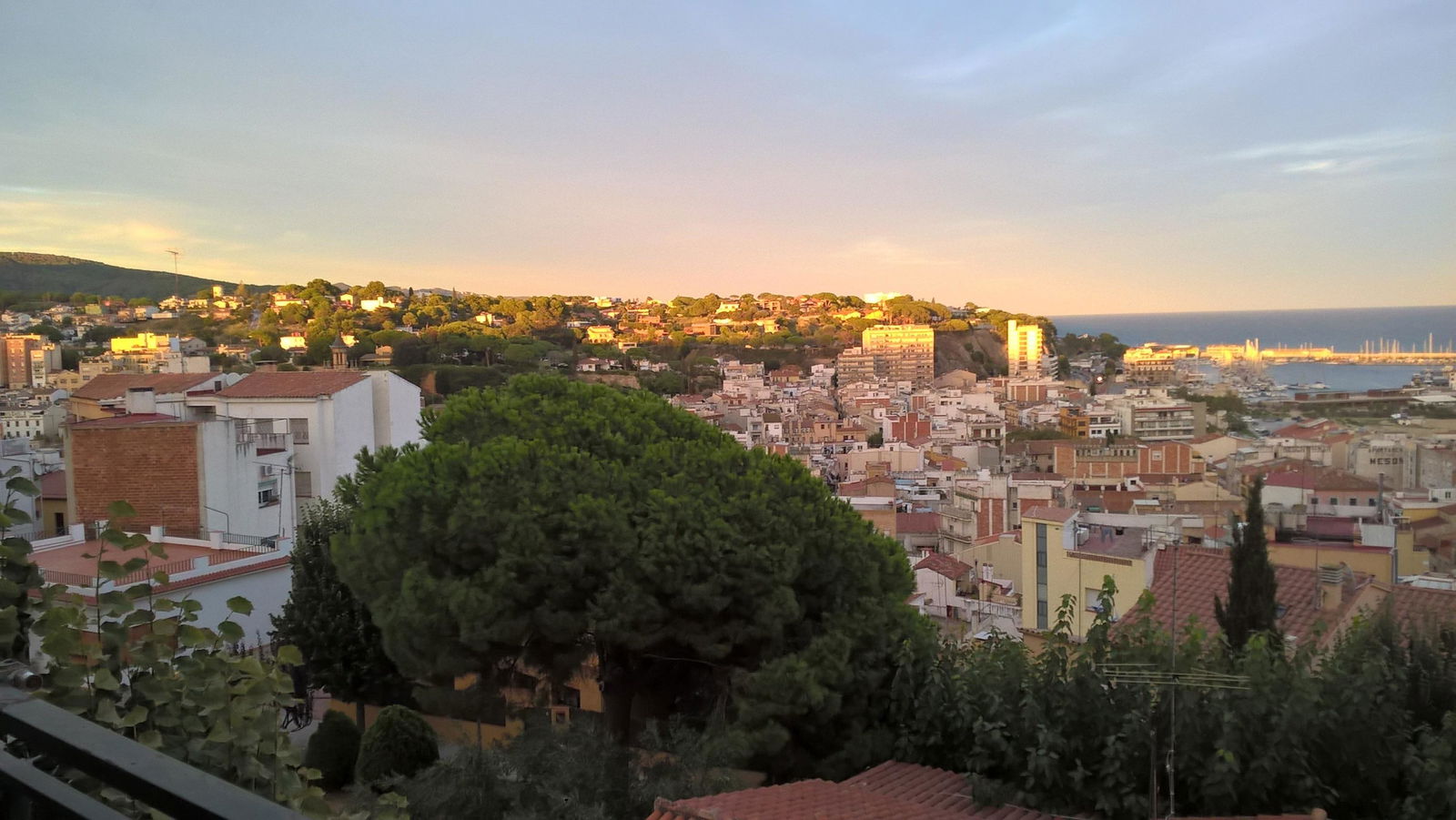 Homestay Arenys de Mar 186770