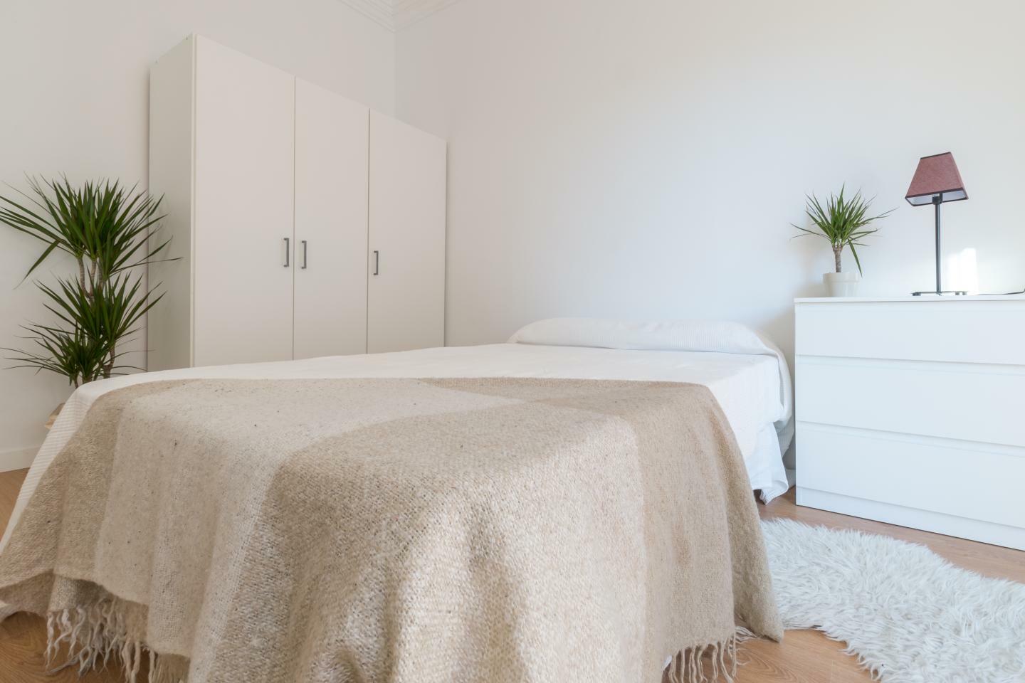 Colocation Lisboa 170384