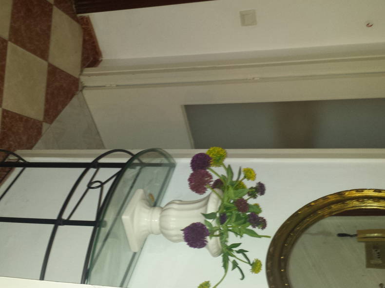 Homestay Sevilla 29254-2