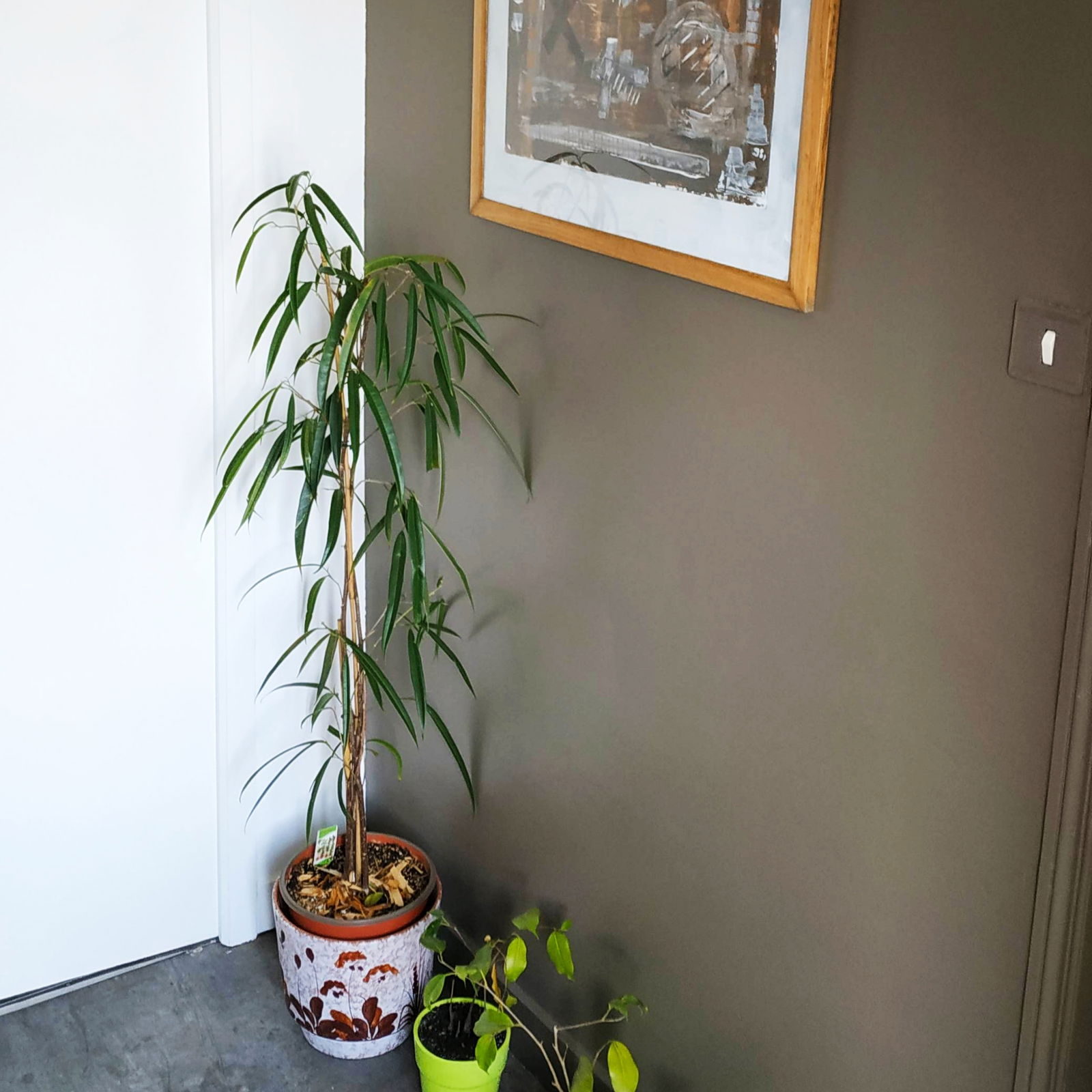 Homestay Saint-Lô 373216