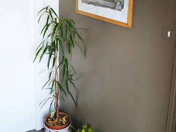 Chambre Chez L'habitant Saint-Lô 373216-7