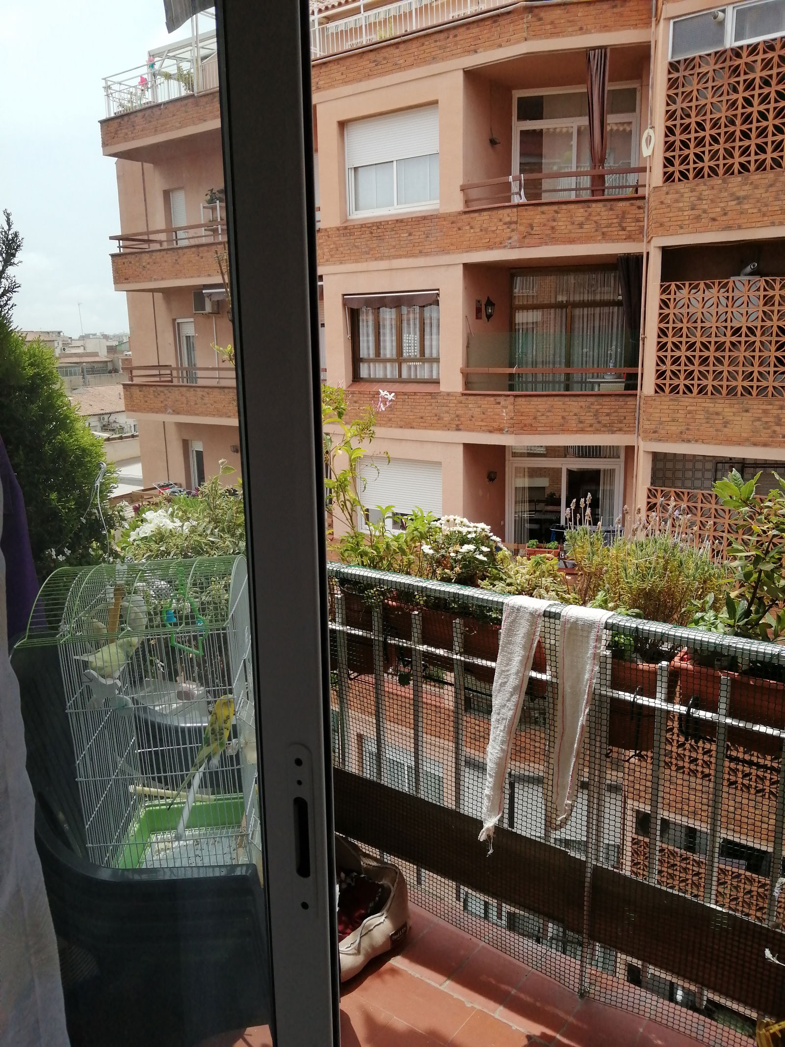Homestay Barcelona 264538