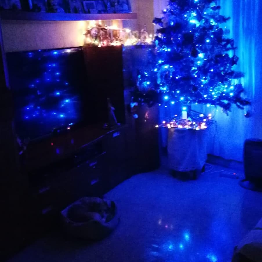 Homestay Barcelona 264538