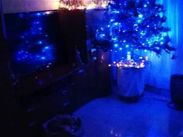 Homestay Barcelona 264538-8