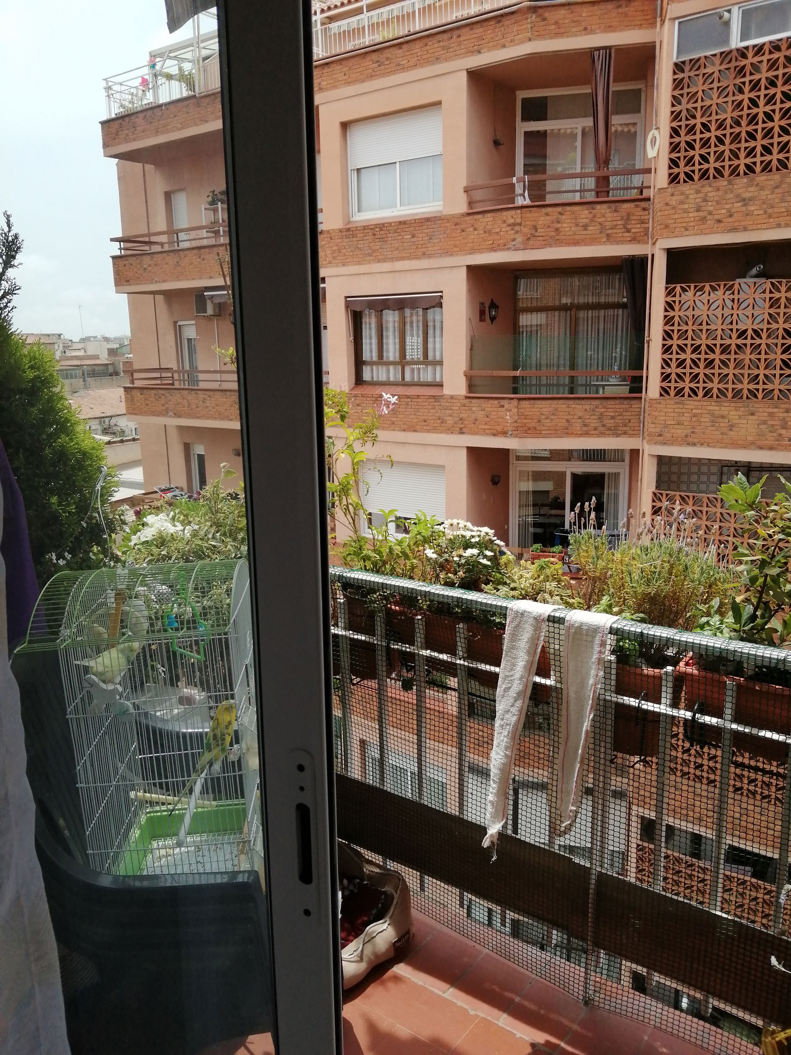 Colocation Barcelona 265315
