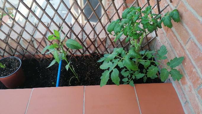 Gastfamilie Barcelona 249487