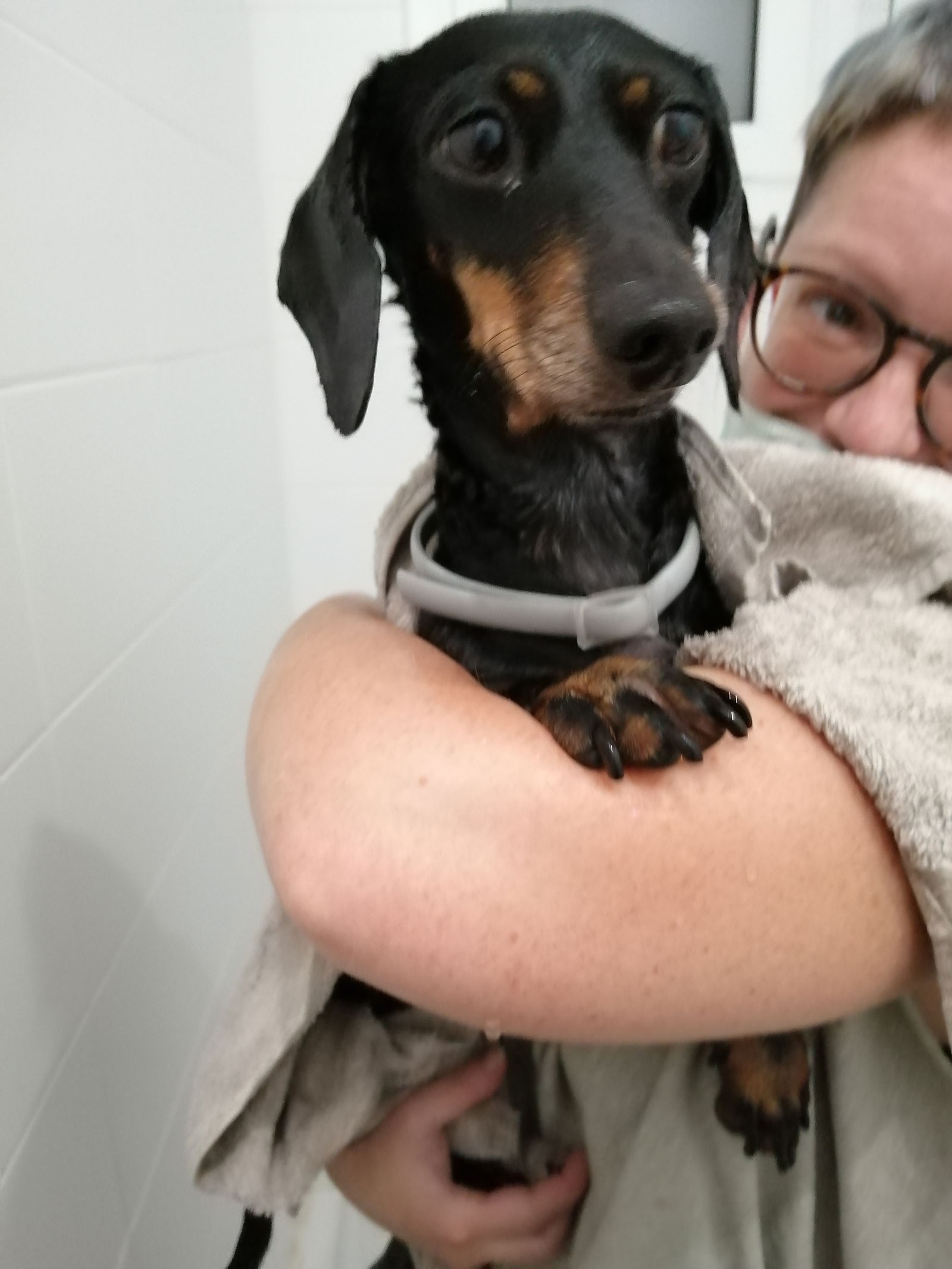 Gastfamilie Barcelona 377956