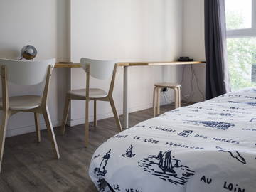 Roomlala | Lille, bardzo ładne umeblowane mieszkanie jednopokojowe 650 m od metra