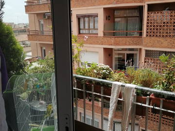 Chambre Chez L'habitant Barcelona 249487-9