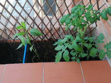 Chambre Chez L'habitant Barcelona 249487-10