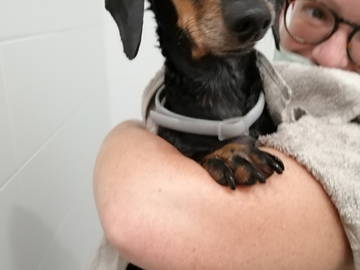 Colocation Barcelona 265188-13