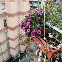 Homestay Barcelona 377956