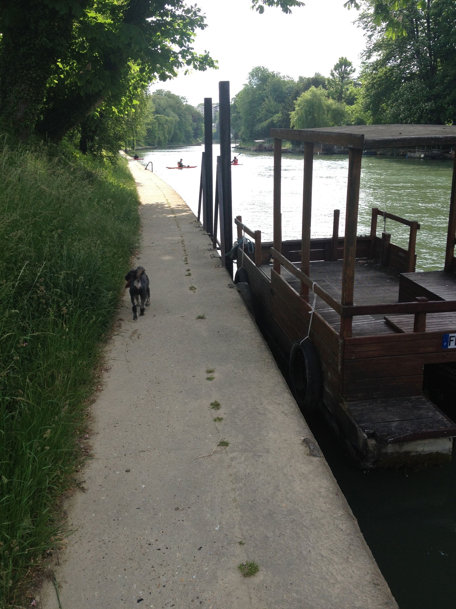 Estudio Independiente Champigny-sur-Marne 261902