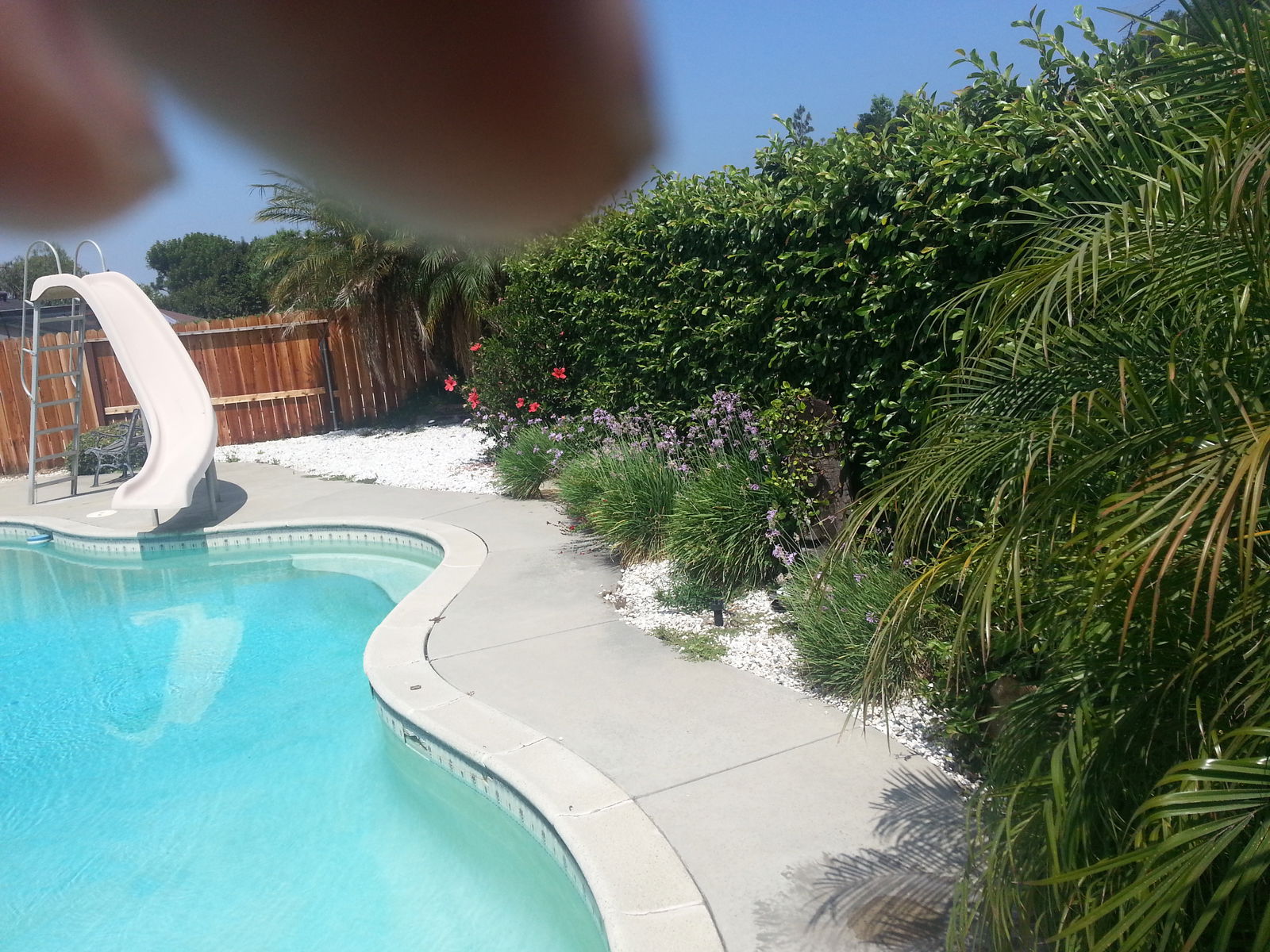 Quedarse En Casa Glendora 189291