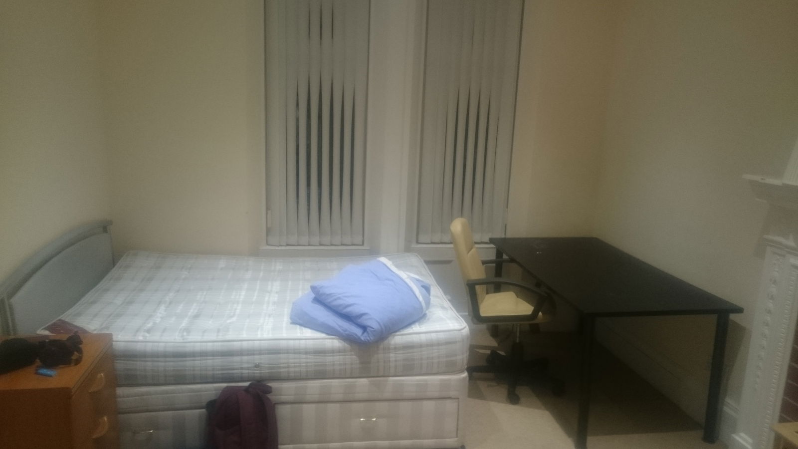 Kolokasie Newcastle upon Tyne 149621