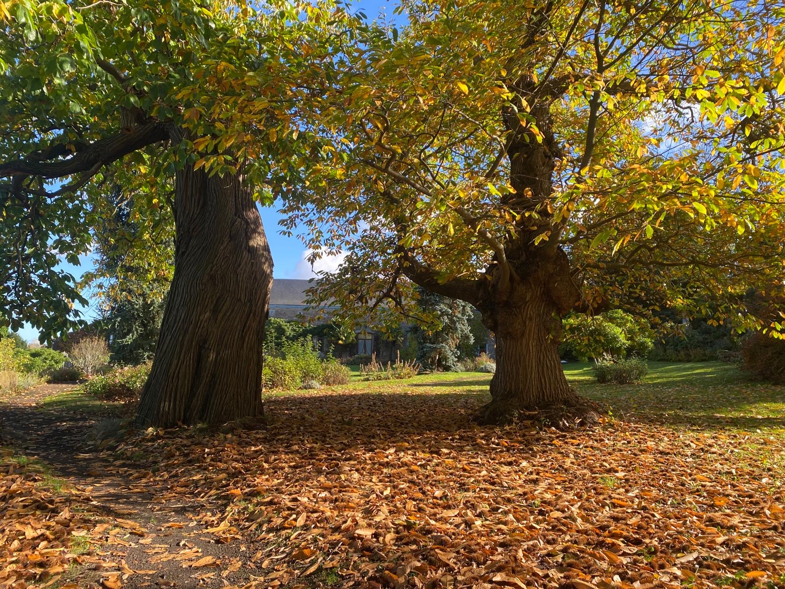 Hospedagem Em Casa De Família Huy 661873