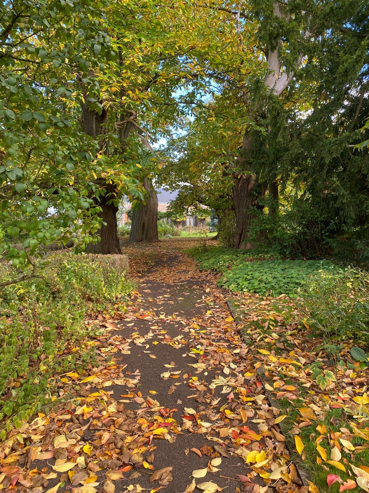 Hospedagem Em Casa De Família Huy 661873