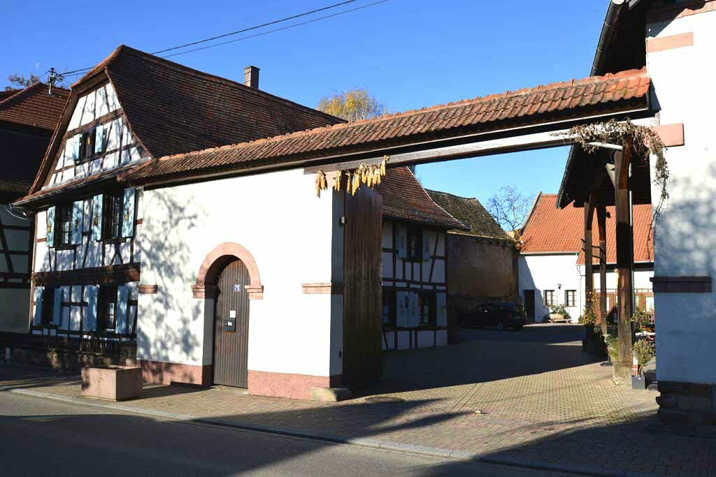 Hospedagem Em Casa De Família Mittelhausbergen 187552
