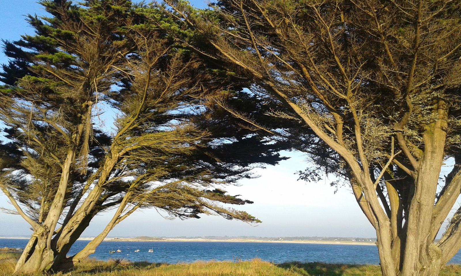 Hospedagem Em Casa De Família Pont-l'Abbé 164411