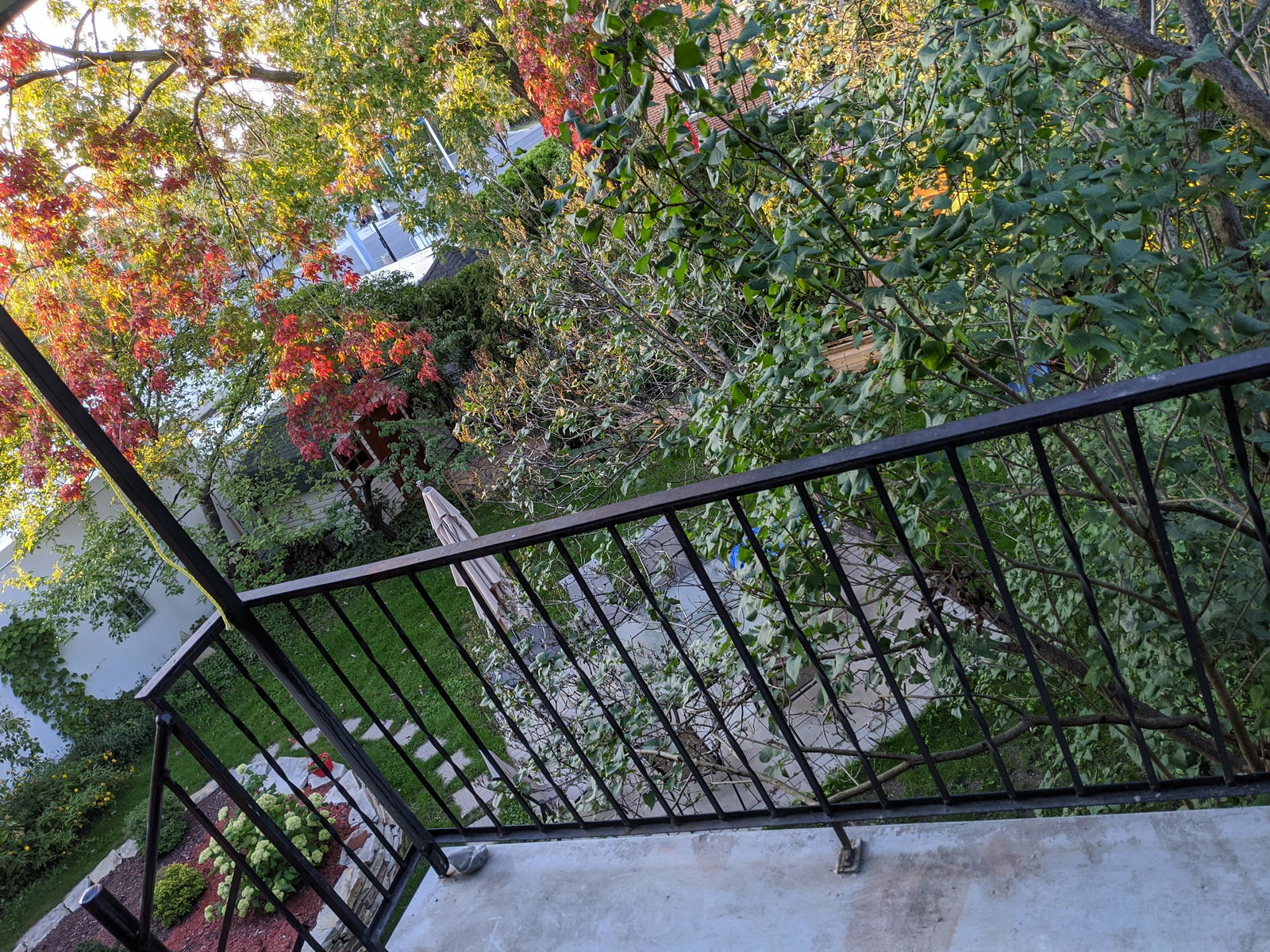 Colocação Montréal 241354