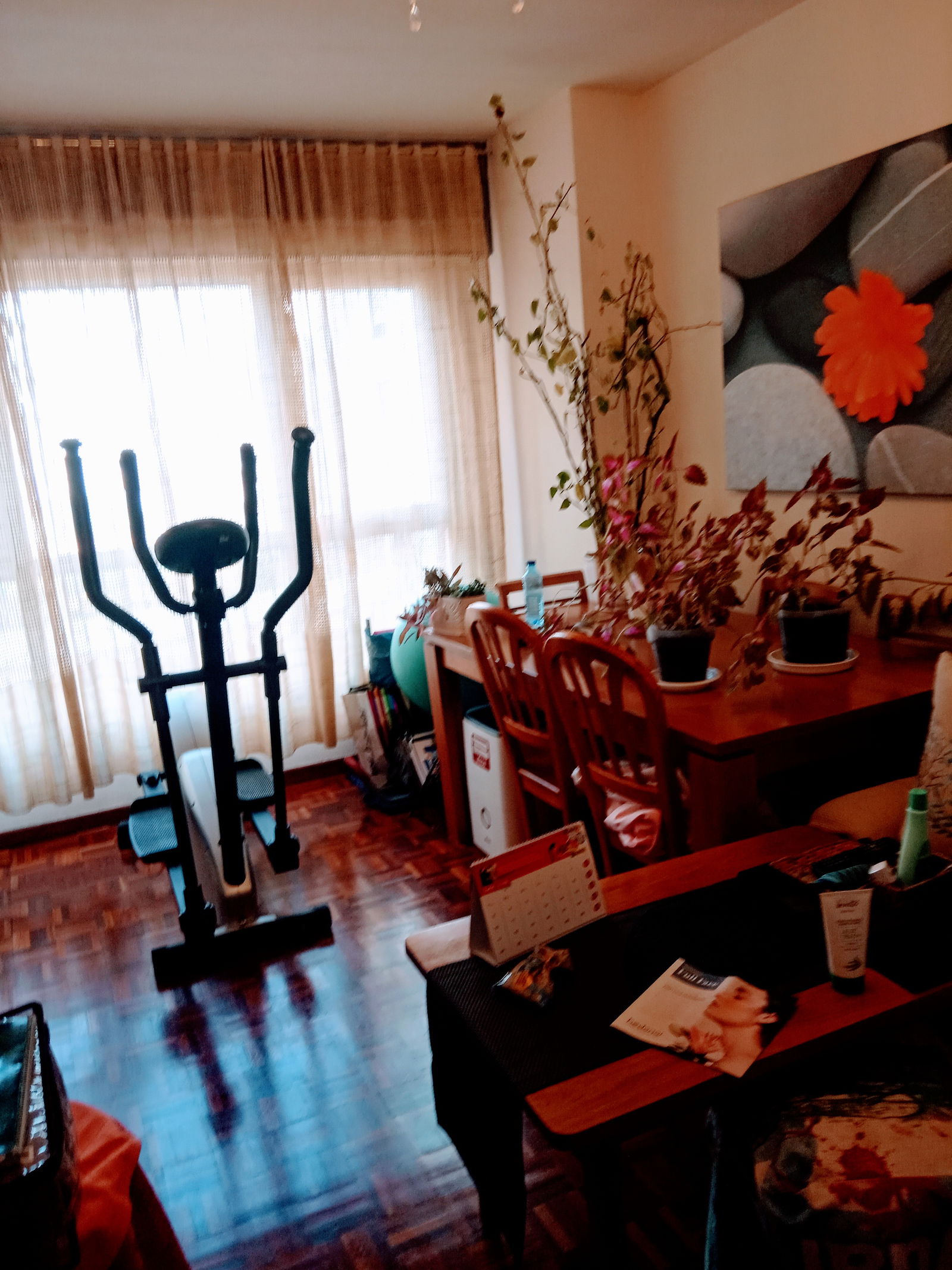 Homestay Santander 340076
