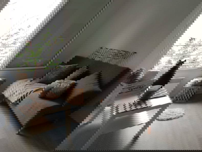 Chambre Chez L'habitant Nîmes 286636-1